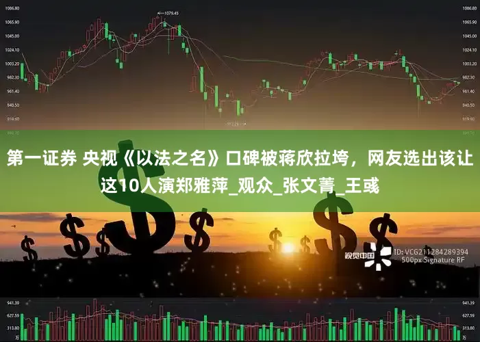 第一证券 央视《以法之名》口碑被蒋欣拉垮，网友选出该让这10人演郑雅萍_观众_张文菁_王彧