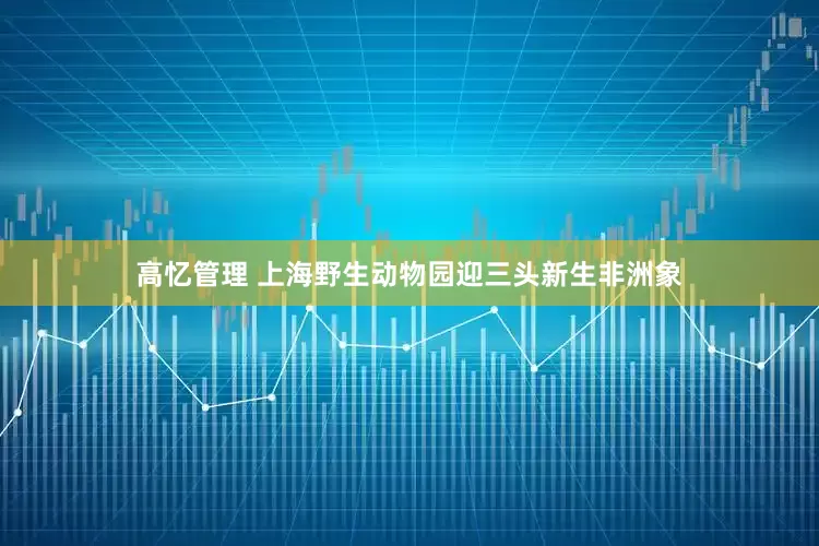 高忆管理 上海野生动物园迎三头新生非洲象