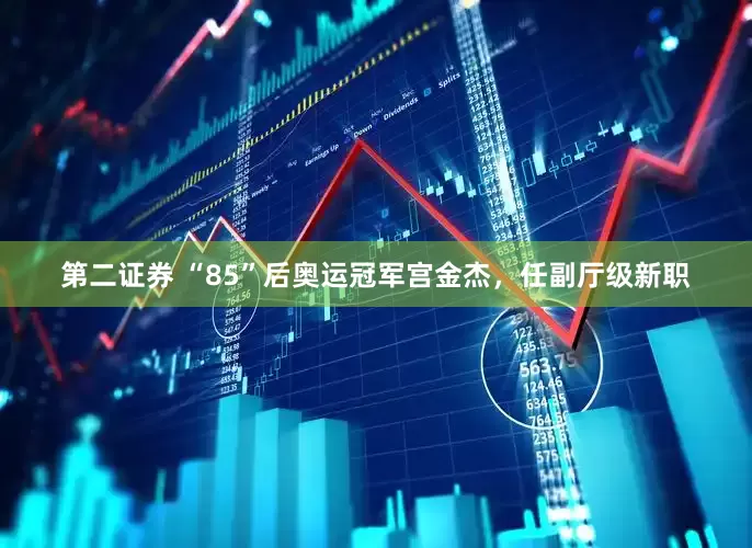 第二证券 “85”后奥运冠军宫金杰，任副厅级新职
