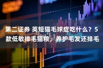 第二证券 英短猫毛球症吃什么?5 款低敏排毛猫粮,养护毛发还排毛