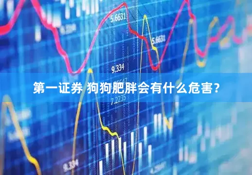 第一证券 狗狗肥胖会有什么危害？