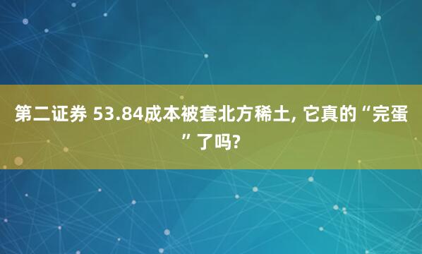 第二证券 53.84成本被套北方稀土, 它真的“完蛋”了吗?